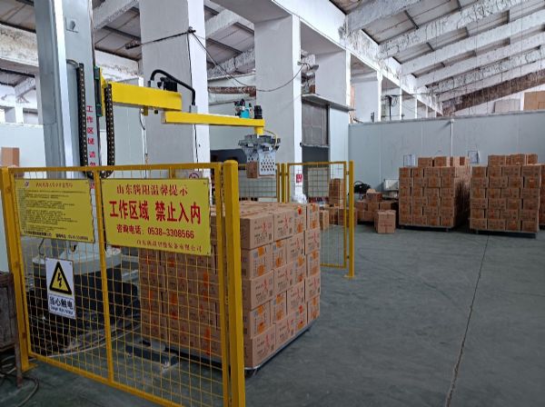 立柱碼垛機(jī)箱裝調(diào)味品自動(dòng)碼垛生產(chǎn)線