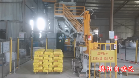 水泥砂漿雙線雙爪國產(chǎn)碼垛機(jī)器人