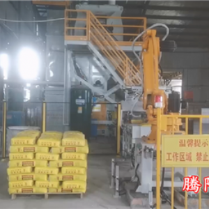 水泥砂漿雙線雙爪國產(chǎn)碼垛機(jī)器人