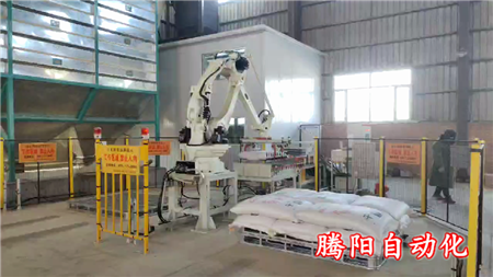 智能包裝碼垛機(jī)生產(chǎn)線