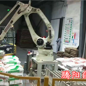 飼料碼垛機(jī)器人雙線碼垛幫助企業(yè)打造立體倉庫