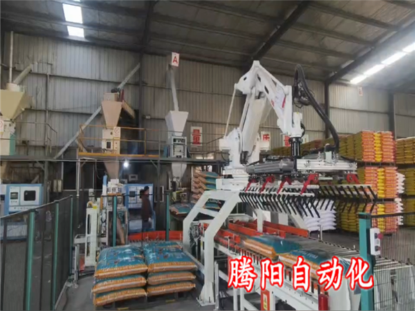 雙爪肥料碼垛機(jī)器人一次投入穩(wěn)盈利